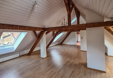 holzbau 45